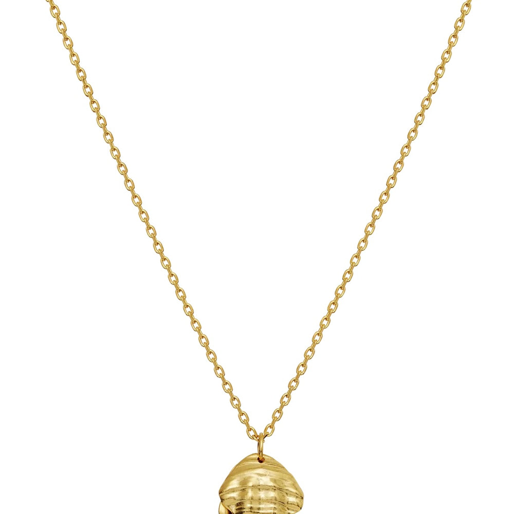 
                  
                    MAANESTEN MARNIE NECKLACE GOLD
                  
                